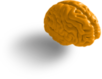 Brain_Shadow 3